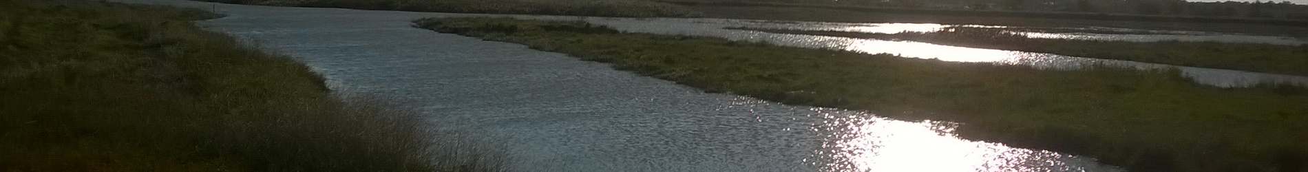 Gestion des eaux dans le marais Poitevin